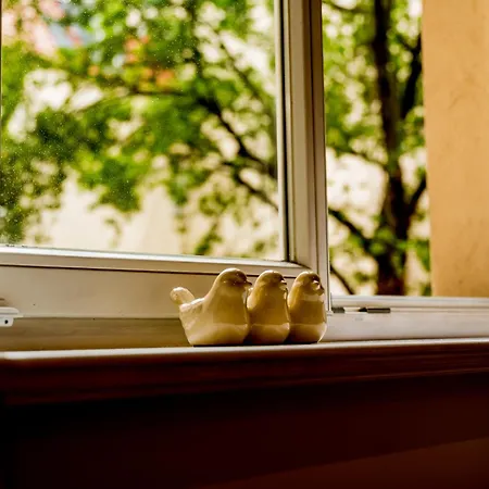 Διαμέρισμα Wilson Park Cozy Retreat By Bookinghost *